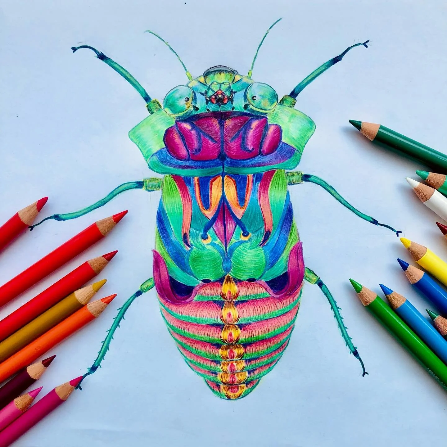 A little fantasy cicada I created for Faber-Castell last year &mdash; bringing some colour to a grey Tuesday. 🪲✨🌈

#fabercastellpencils #fabercastellpolychromos #illustration #coloredpencilart #fantasyart #natureillustration #insectart #colorfulart