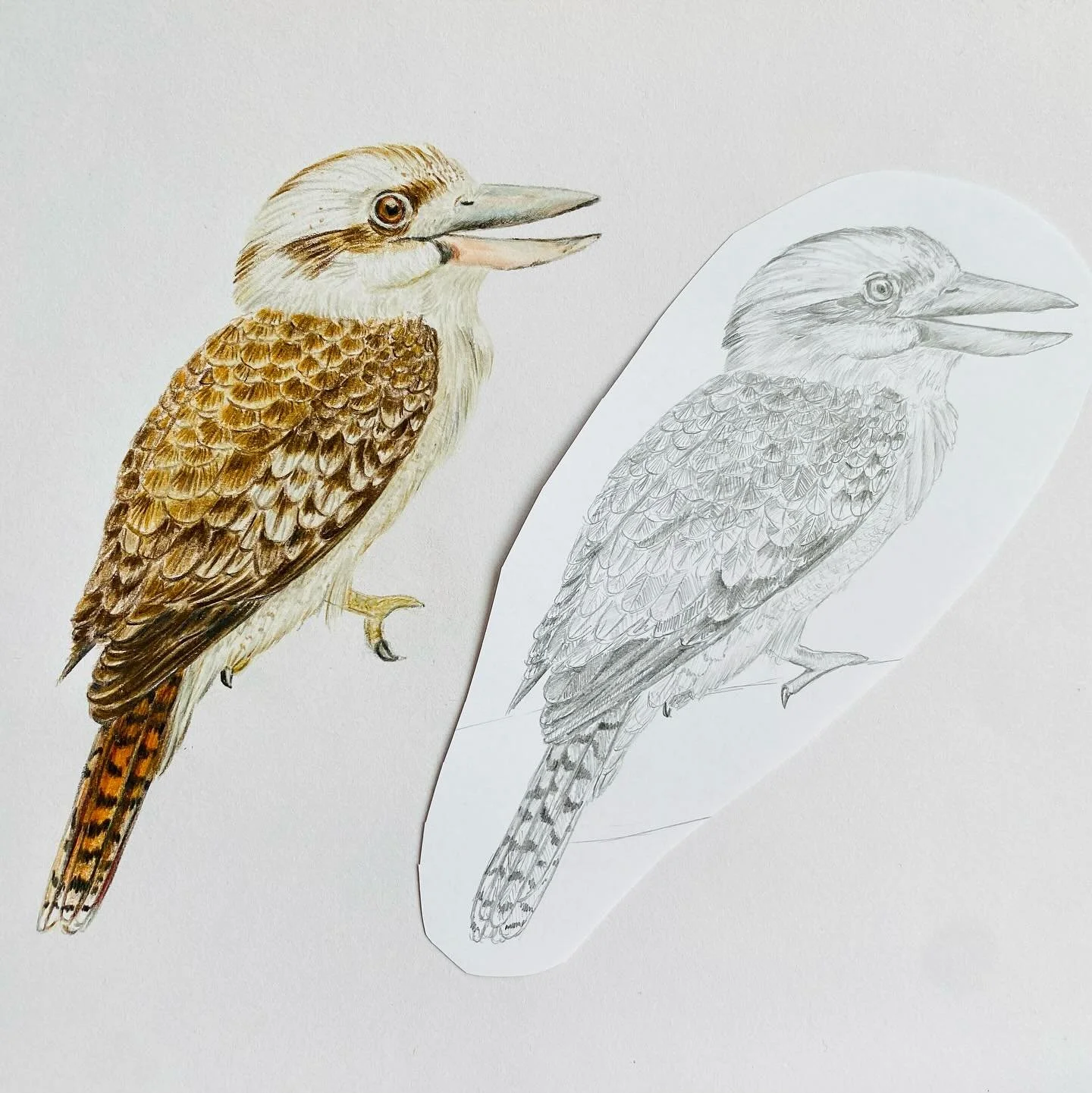 Things have felt a bit unpredictable lately, but I&rsquo;m gradually coming to terms with accepting what I can&rsquo;t control anyway &ndash; which is almost everything. 😅 So, I&rsquo;m learning to trust that life wants the best for me, and to be gr