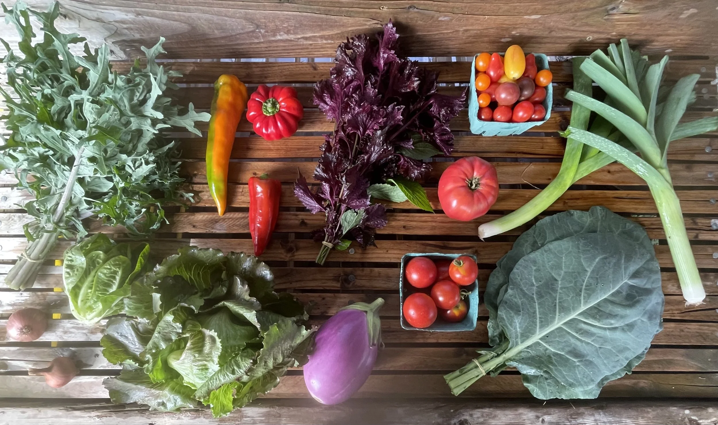 CSA Share- Payment Plan