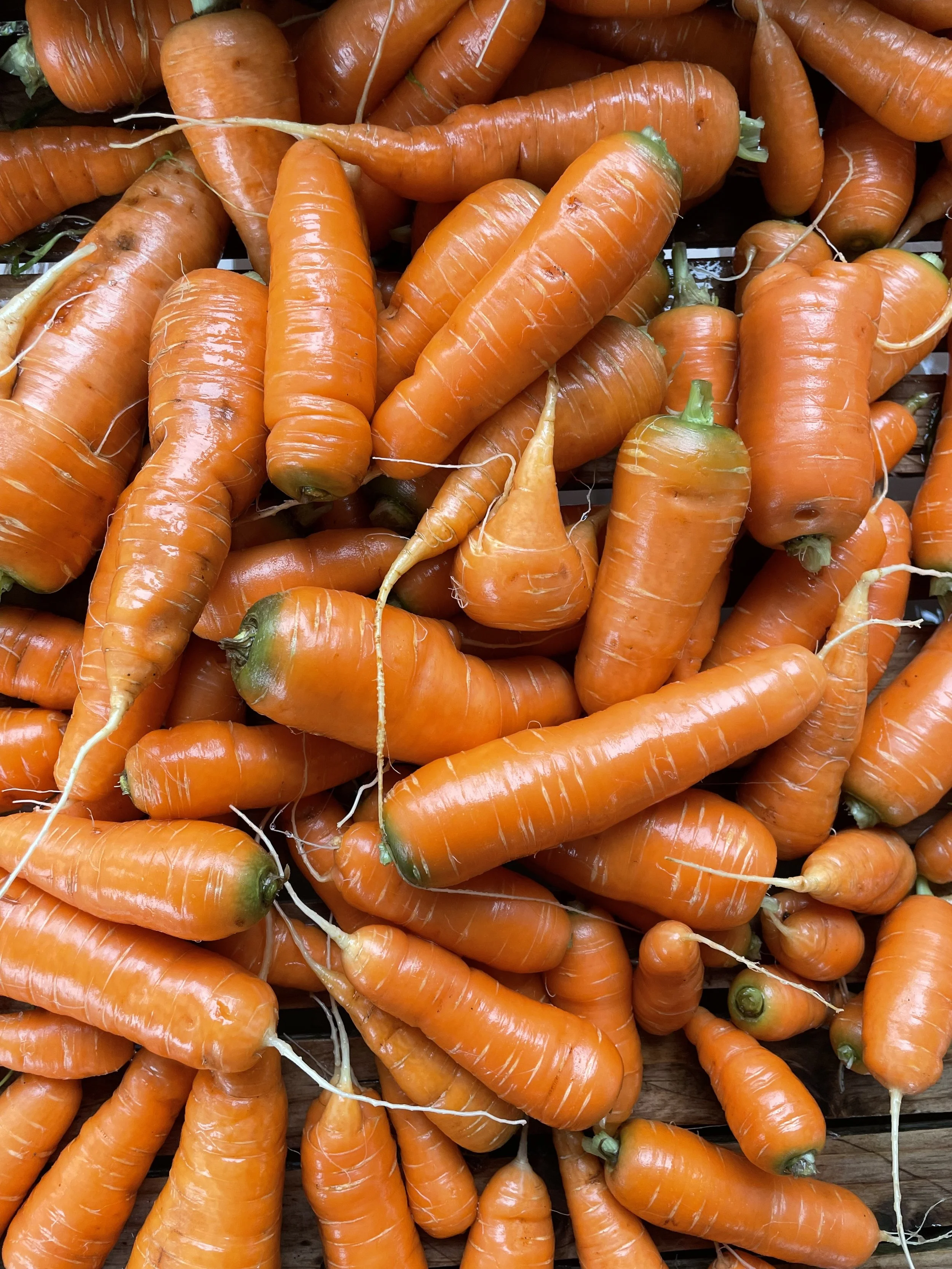 Carrots, per lb.