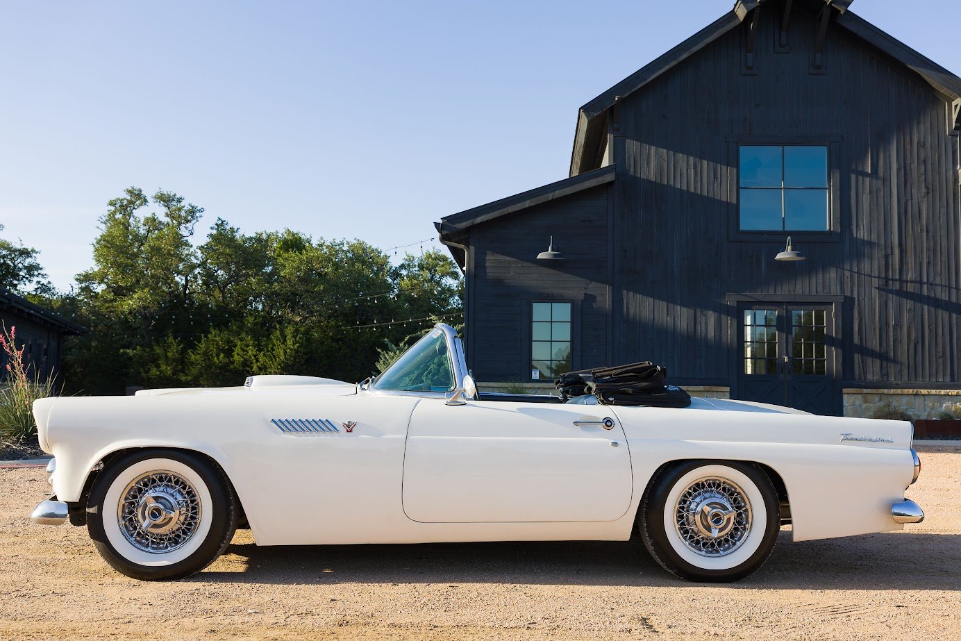 1955 Ford Thunderbird in Dripping Spring