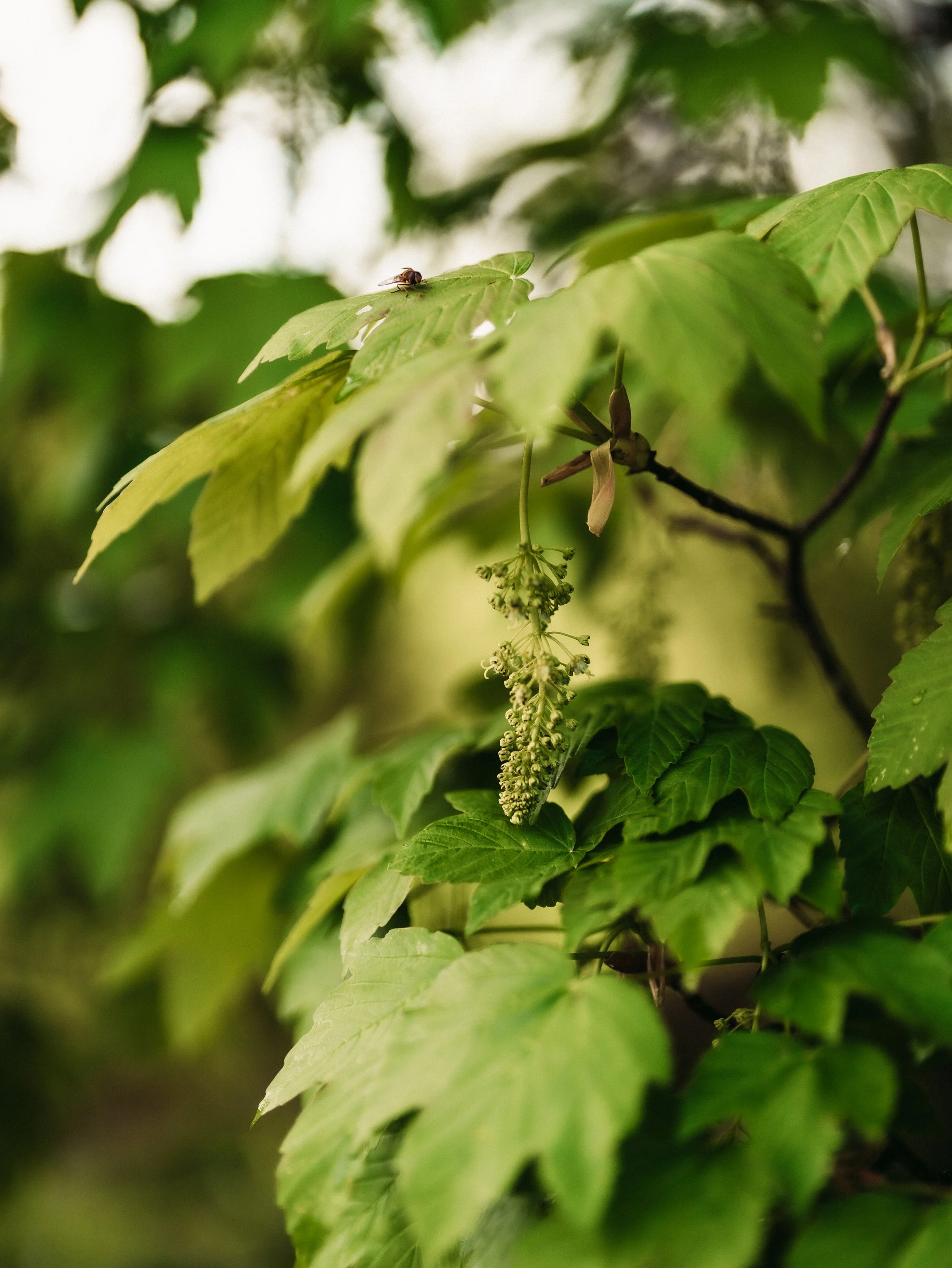 DSC02892-14.jpg