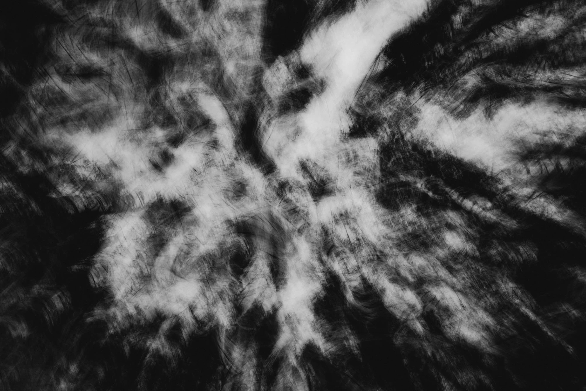4 - AR104416.jpg