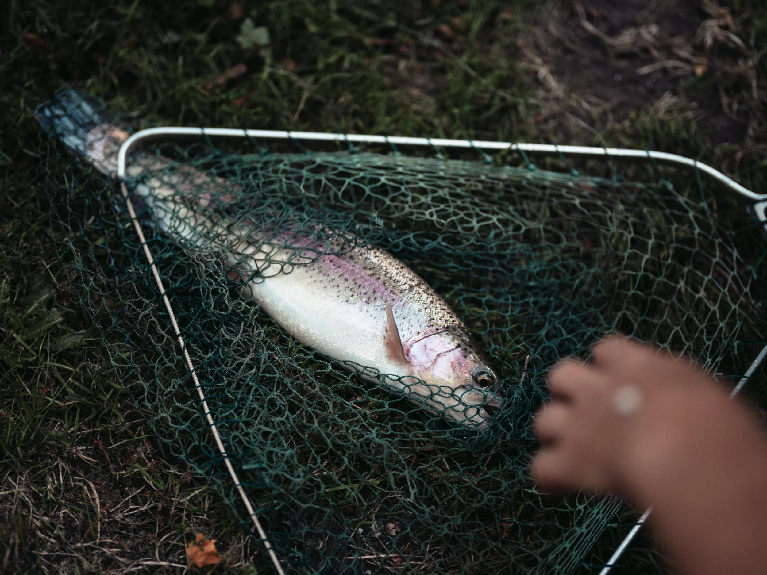 BC fishing sep 26 Olivia-13.jpg