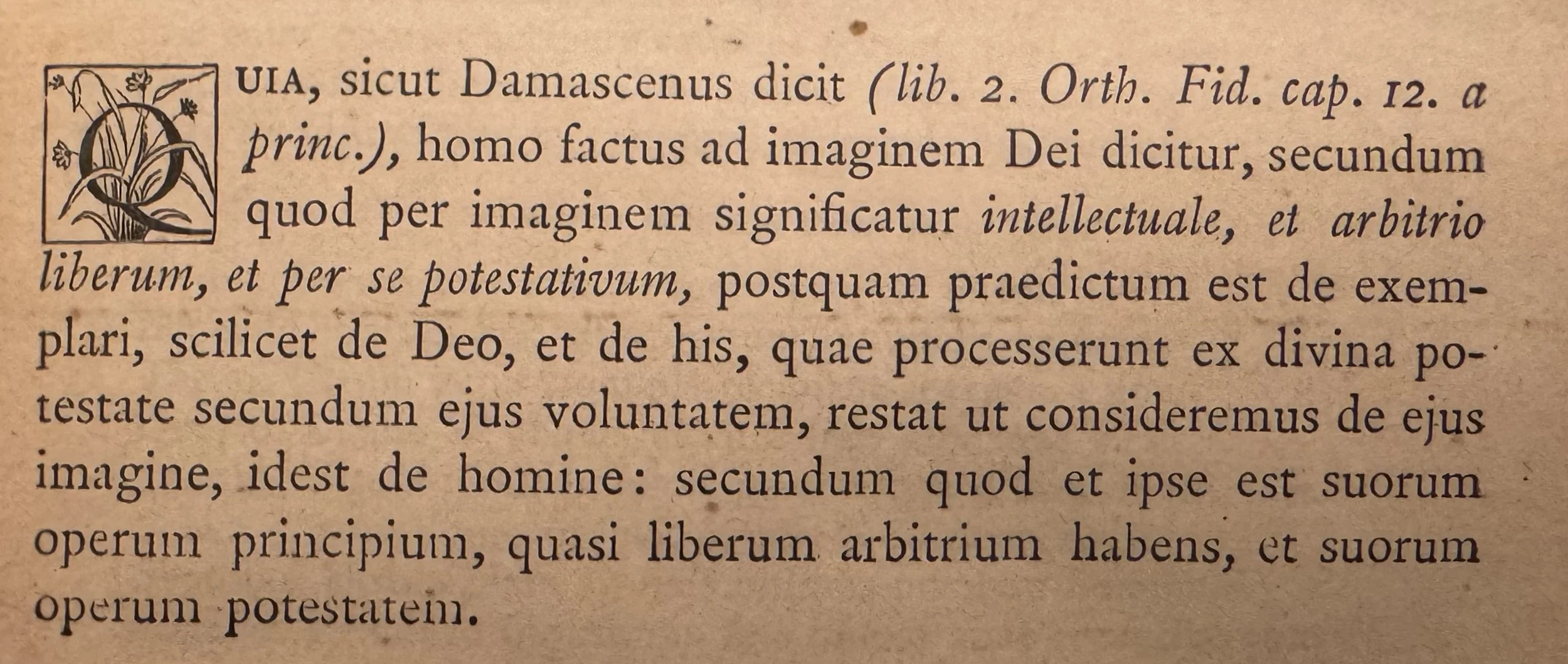 Thomistic Note: Imago Dei
