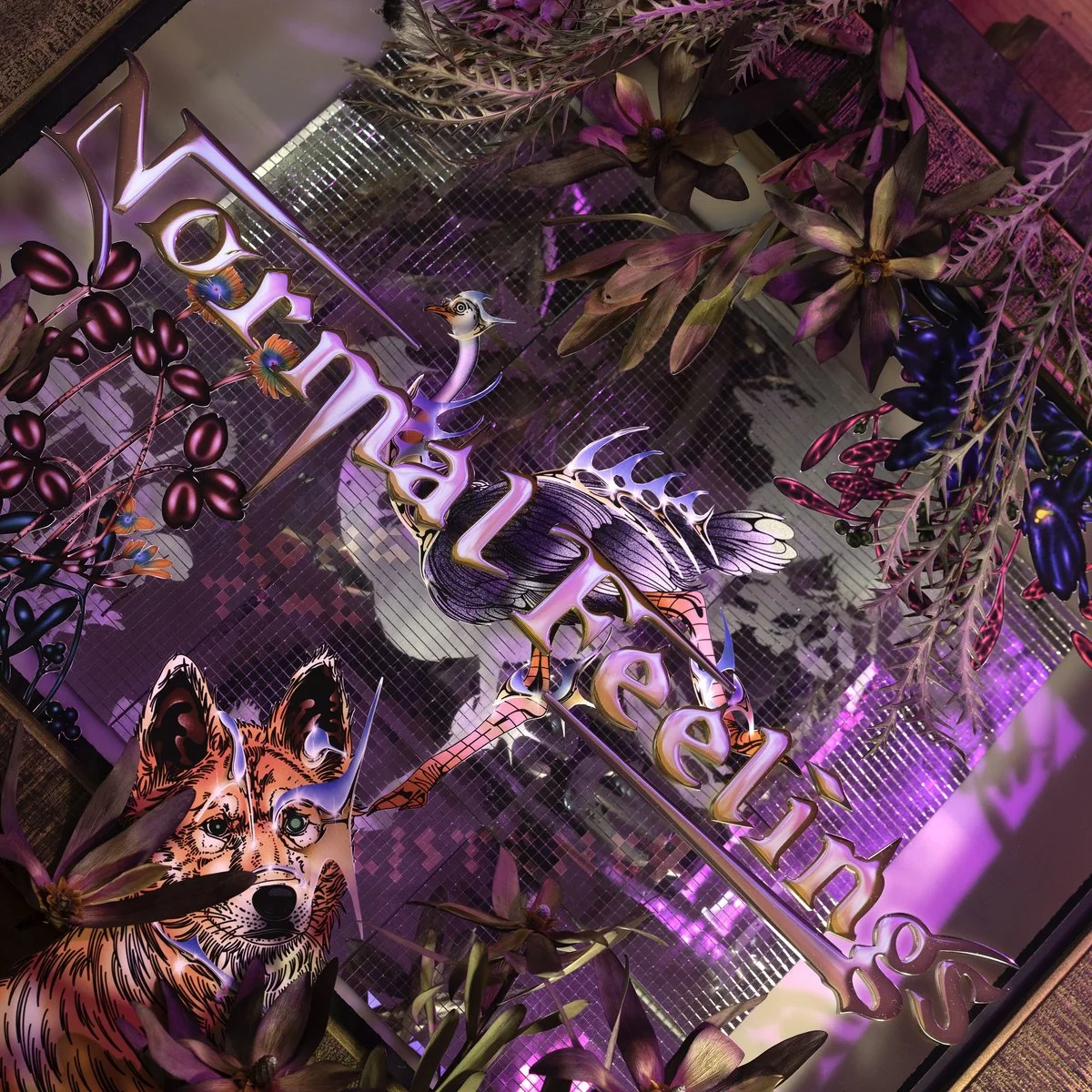 String arrangements 
Normal Feelings "Long Time Listener"