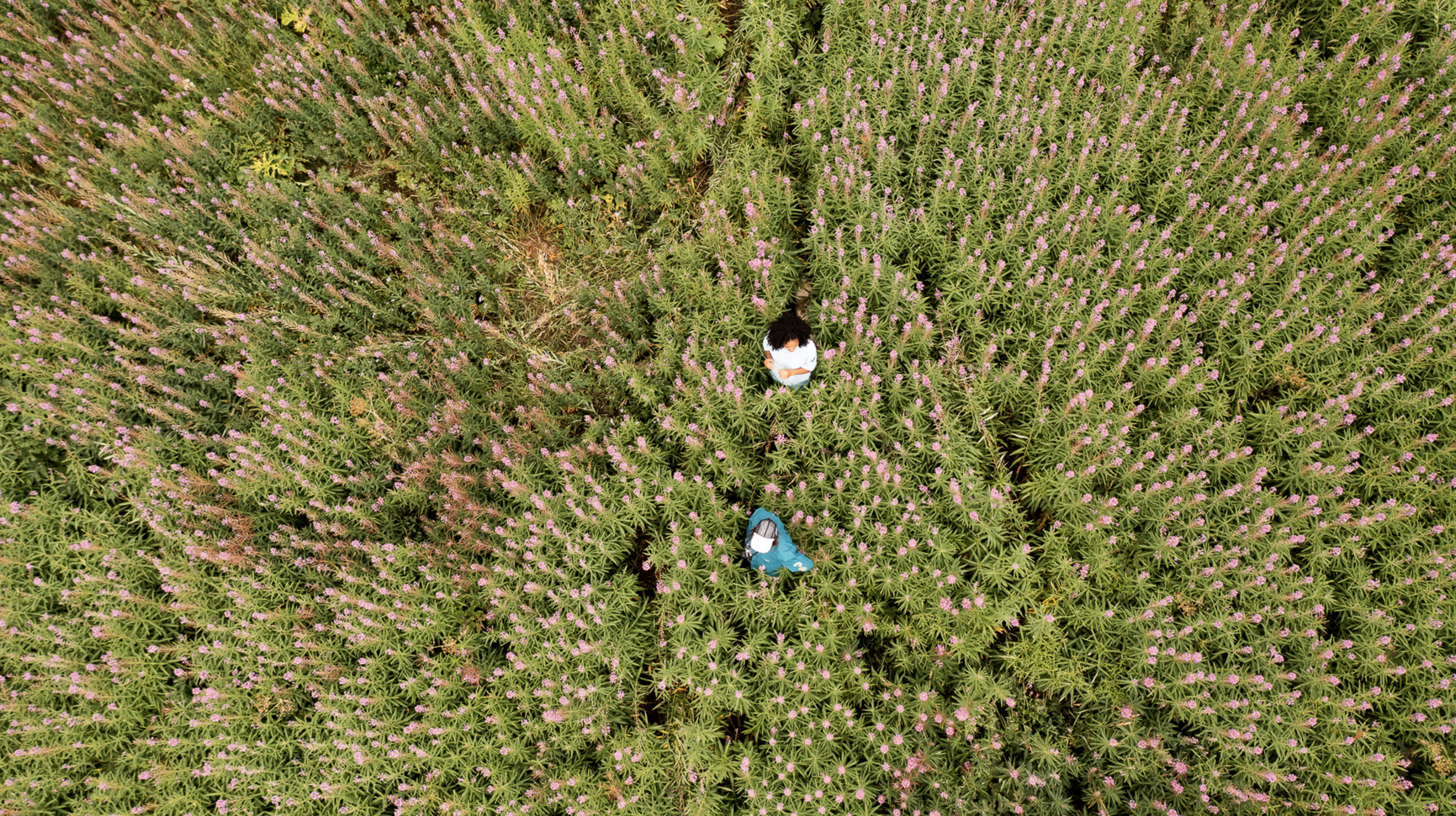 Screenshot 2026-04-01 at 11.45.39 PM.png