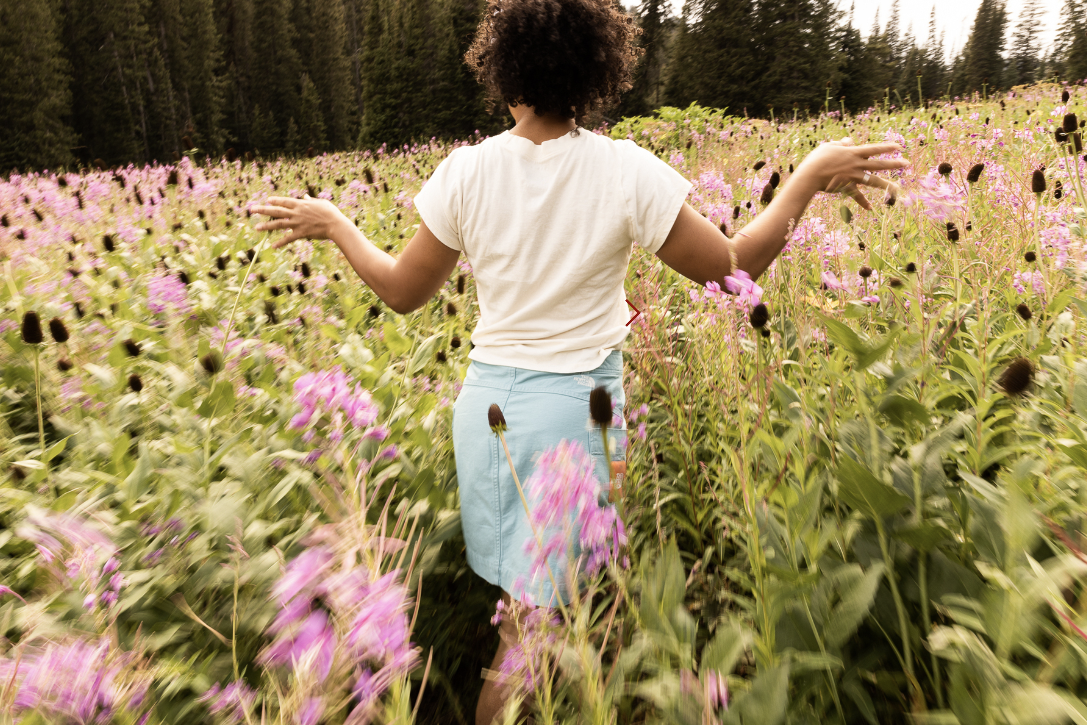 Screenshot 2026-04-01 at 11.46.22 PM.png