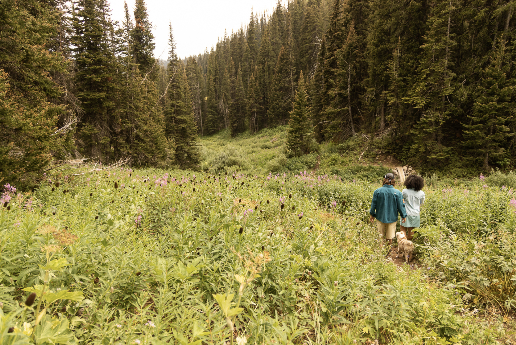 Screenshot 2026-04-01 at 11.46.10 PM.png