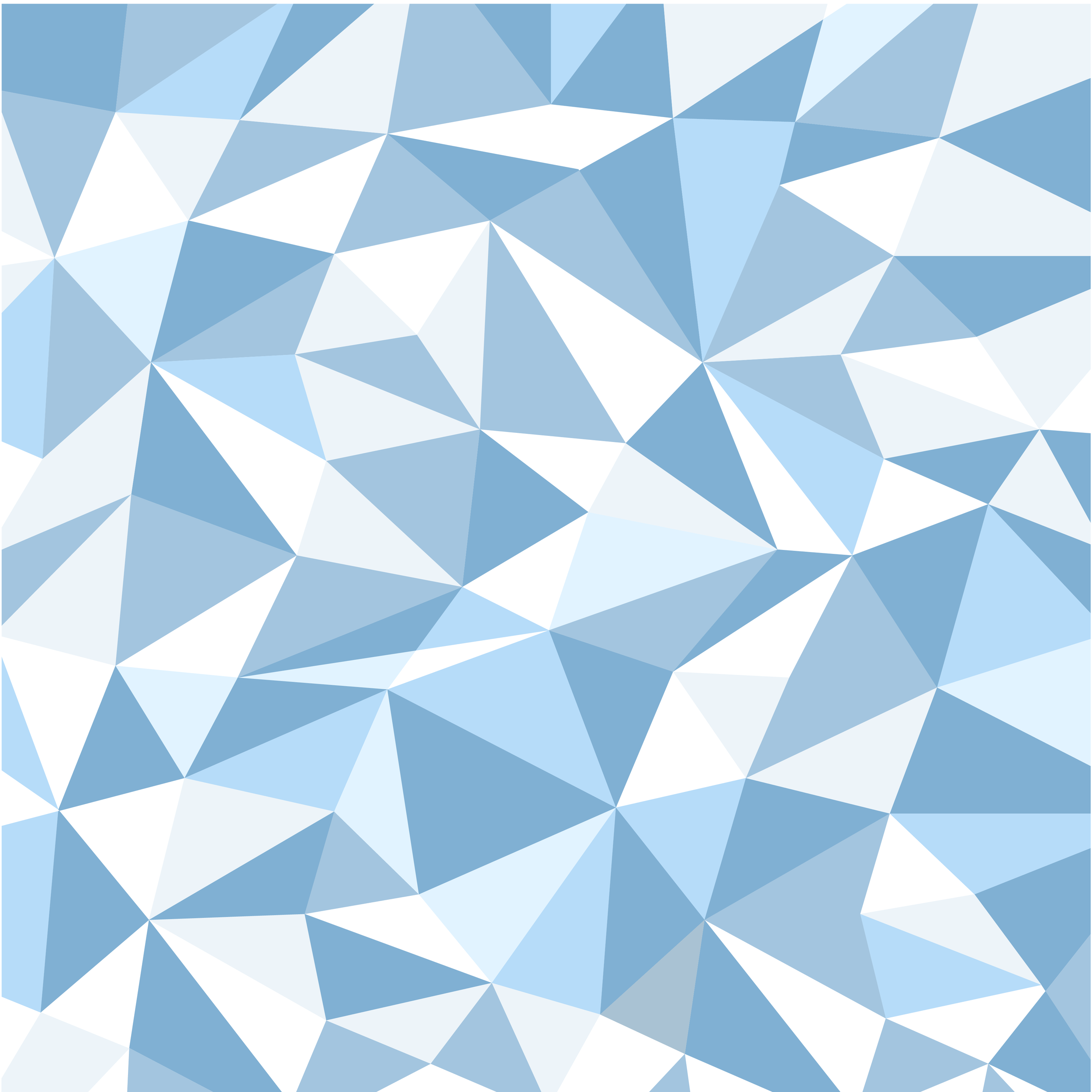 Rocky Mountain Yeti Group