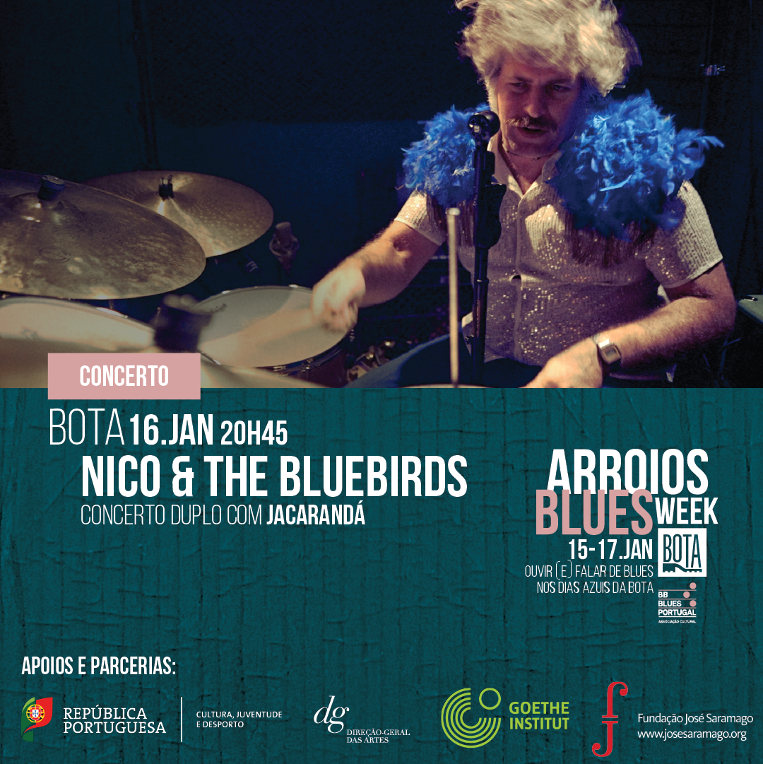 Nico &amp; the Bluebirds - abw