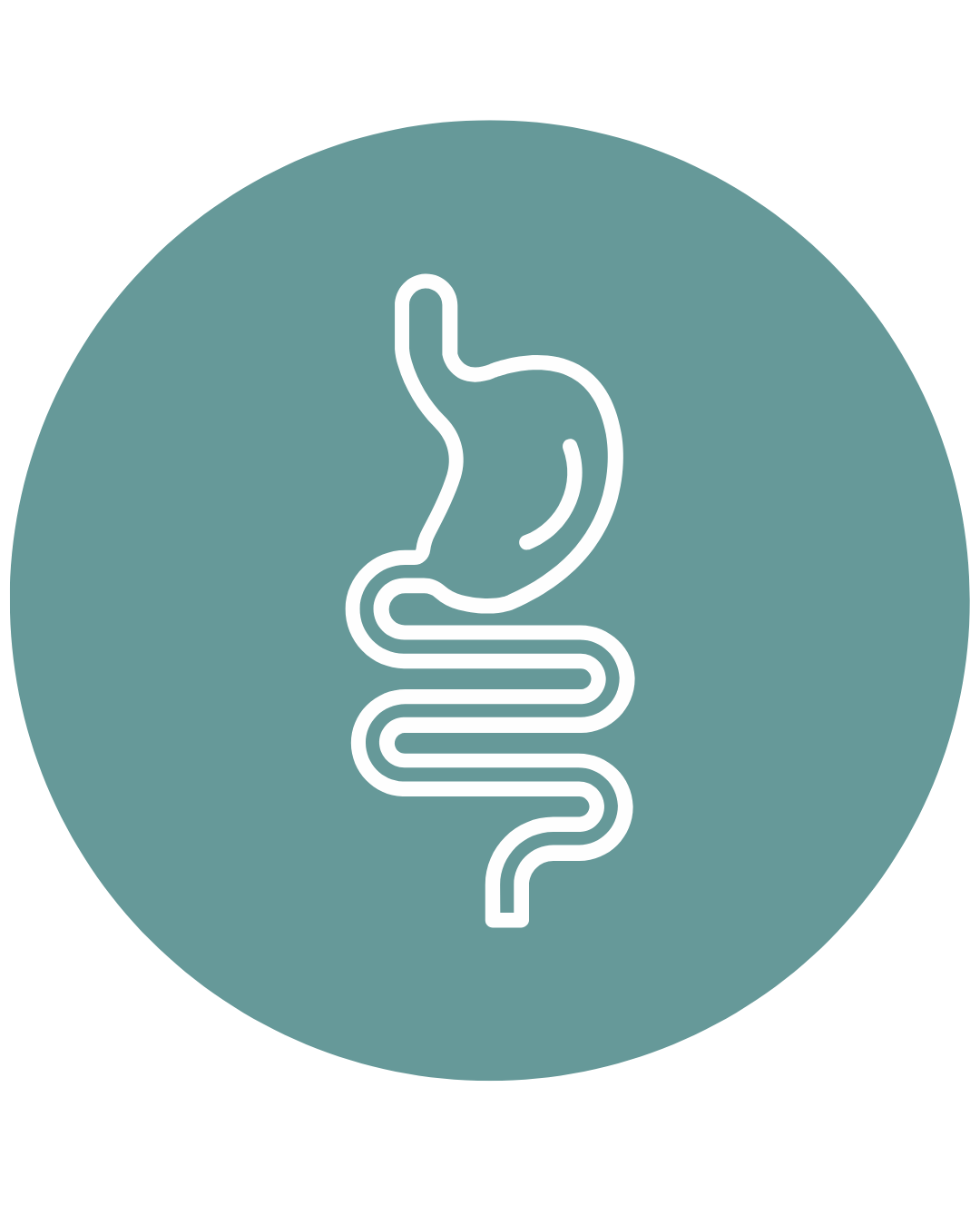 🦠 The Gut Reset