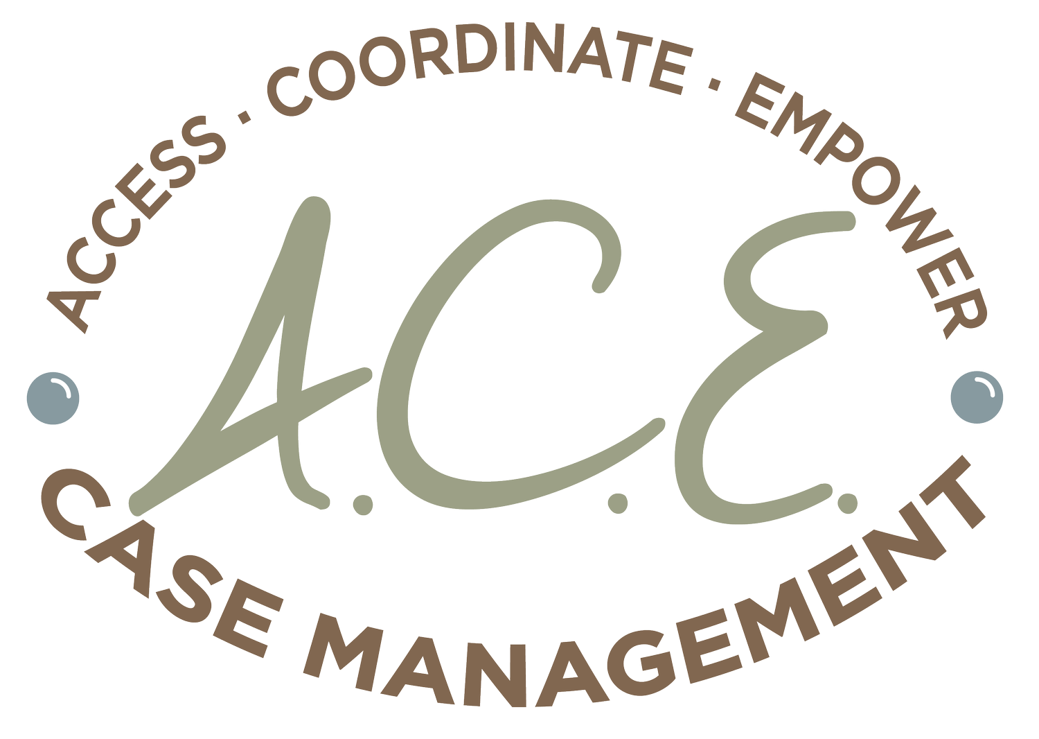 A.C.E. Case Management