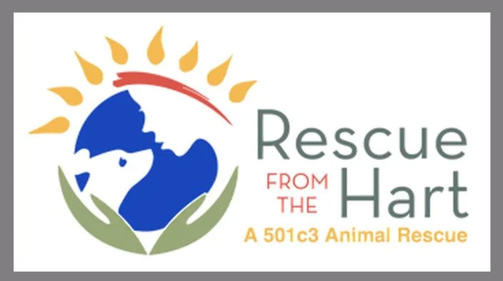 Logo of Rescue from the Hart, an animal rescue organization, featuring a globe with a dog silhouette, surrounded by a sun and green leaves, with text indicating it's a 501(c)(3) organization.