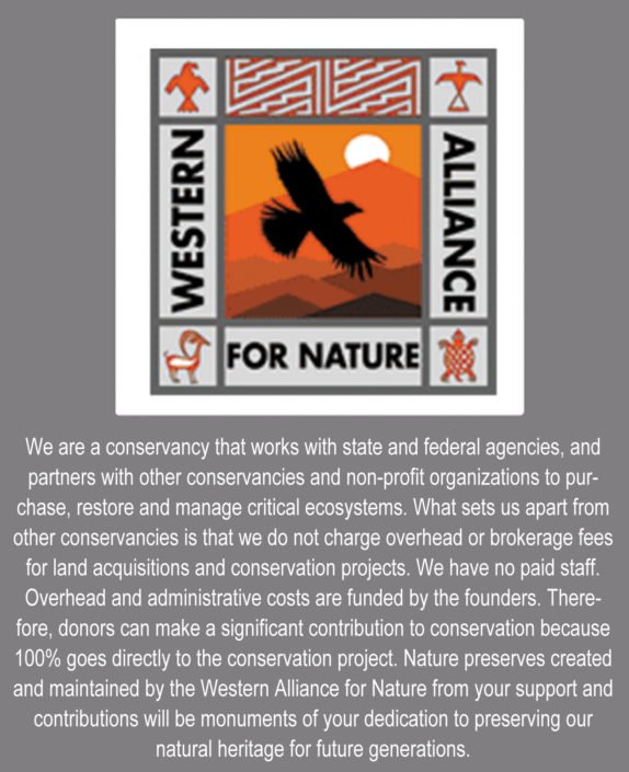 Logo of the Western Alliance for Nature featuring a black bird soaring over mountain terrain with a sun or moon in the background, surrounded by symbols of Indigenous culture and nature, with the words 'Western Alliance for Nature'.