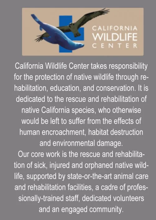 California Wildlife Center logo with a bird and an eagle, and a description of their conservation efforts for native wildlife.