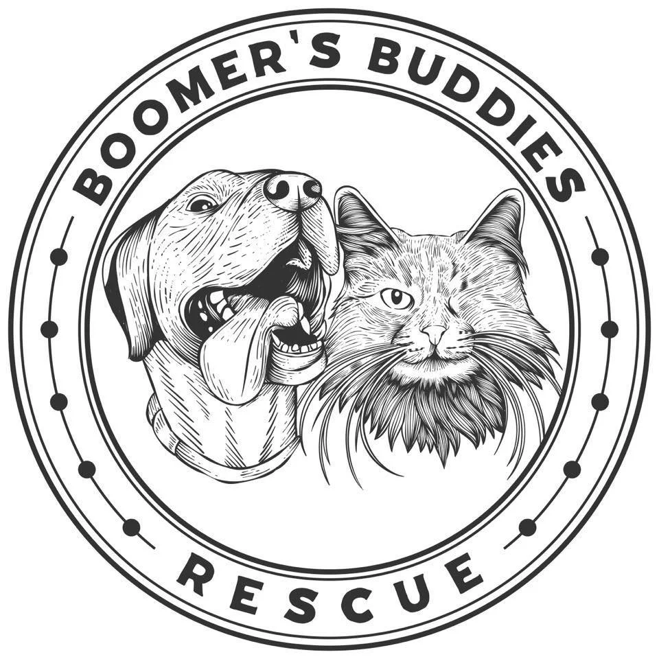 A circular logo for Boomer's Buddies Rescue, featuring a dog with its tongue out on the left and a winking cat with a mane on the right.