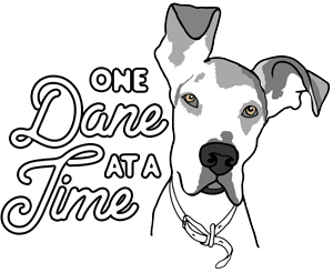 Graphic of a dog with one eye, accompanied by the text 'One Dane at a Time'.