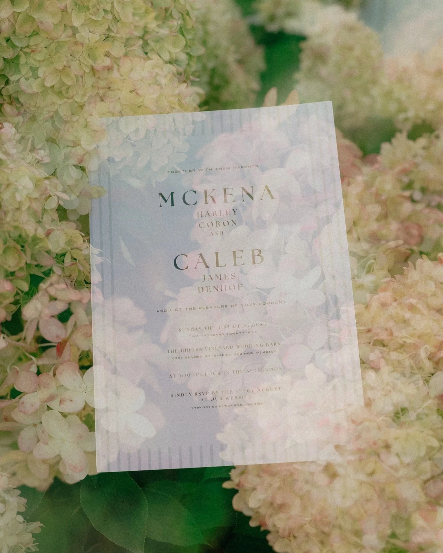 For the big hearted, the little chaotic, and come dance with us kind of lovers. 
For couples who want a little pixie dust in their portraits, like &ldquo;What if you hold these grapes?&rdquo; 
Guidance and artistic intervention when needed and space 