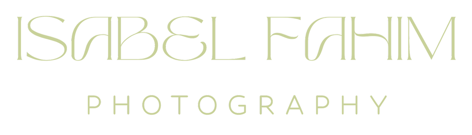 Michigan Wedding Photographer