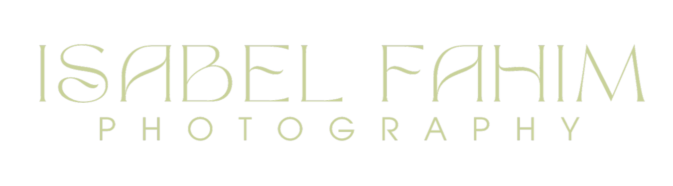 Michigan Wedding Photographer