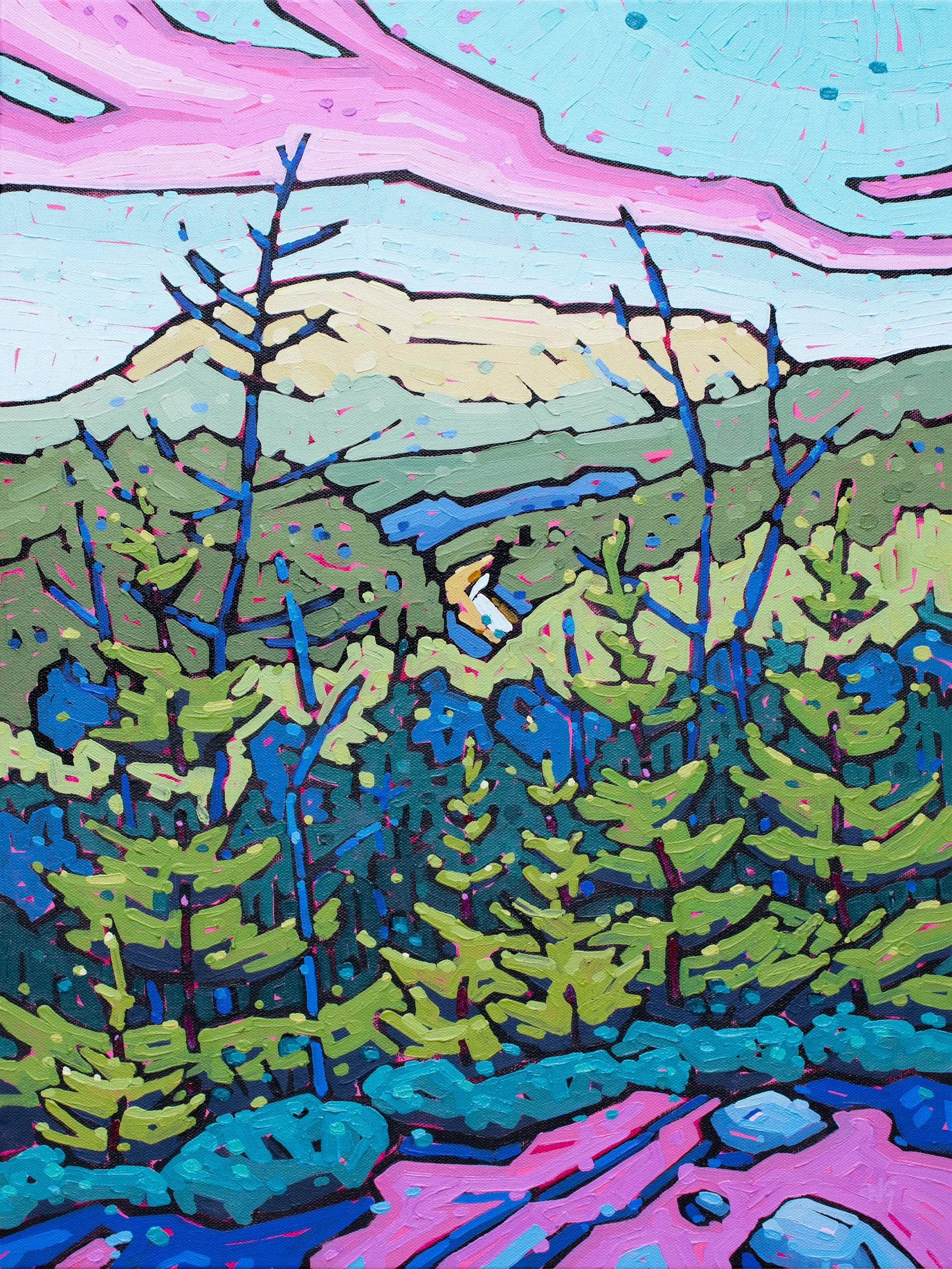 To Gros Morne - 2025