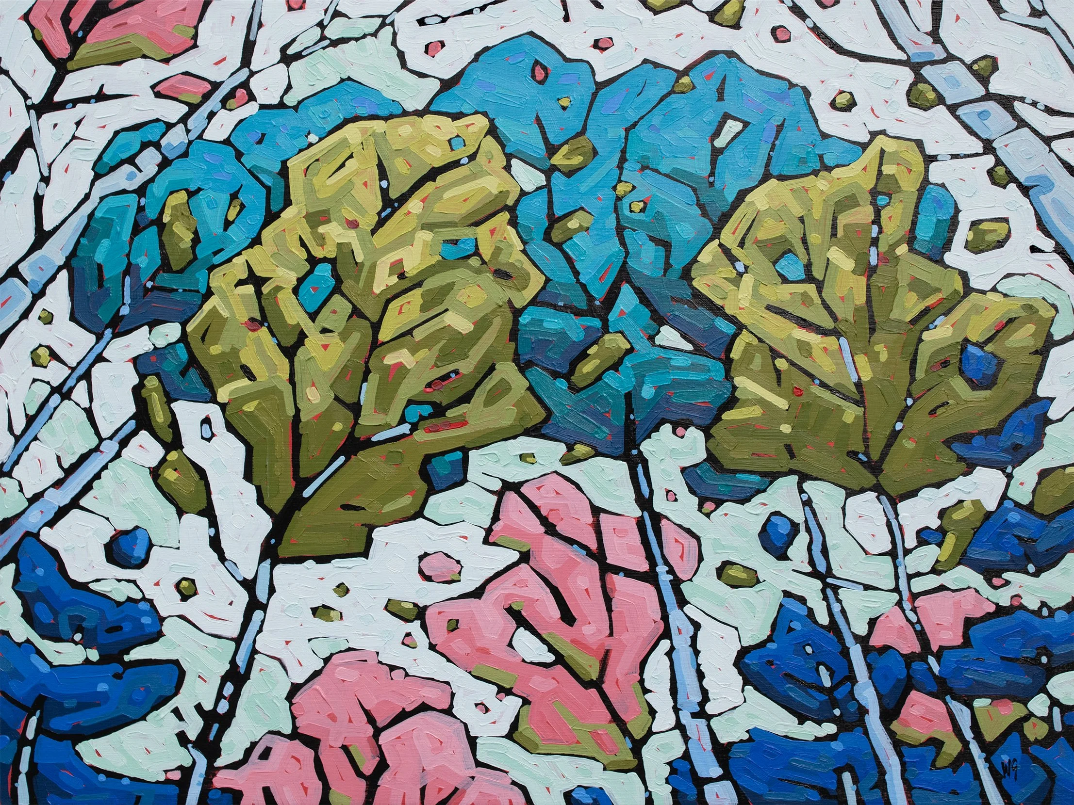 Canopy Clouds - 2025