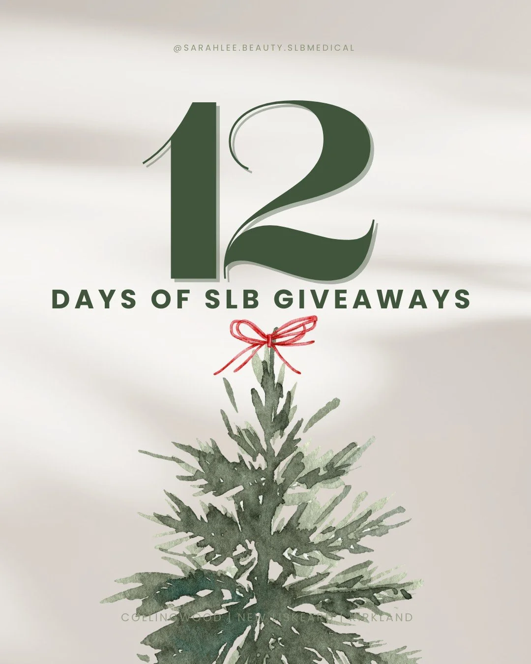 SLB 12 Days of Giveaways 🎁✨

It&rsquo;s that time of year again, and we&rsquo;re so excited to finally share what we&rsquo;ve been planning. All throughout December, we&rsquo;ll be dropping a mix of giveaways, promotions, gifts, treatment bonuses, p