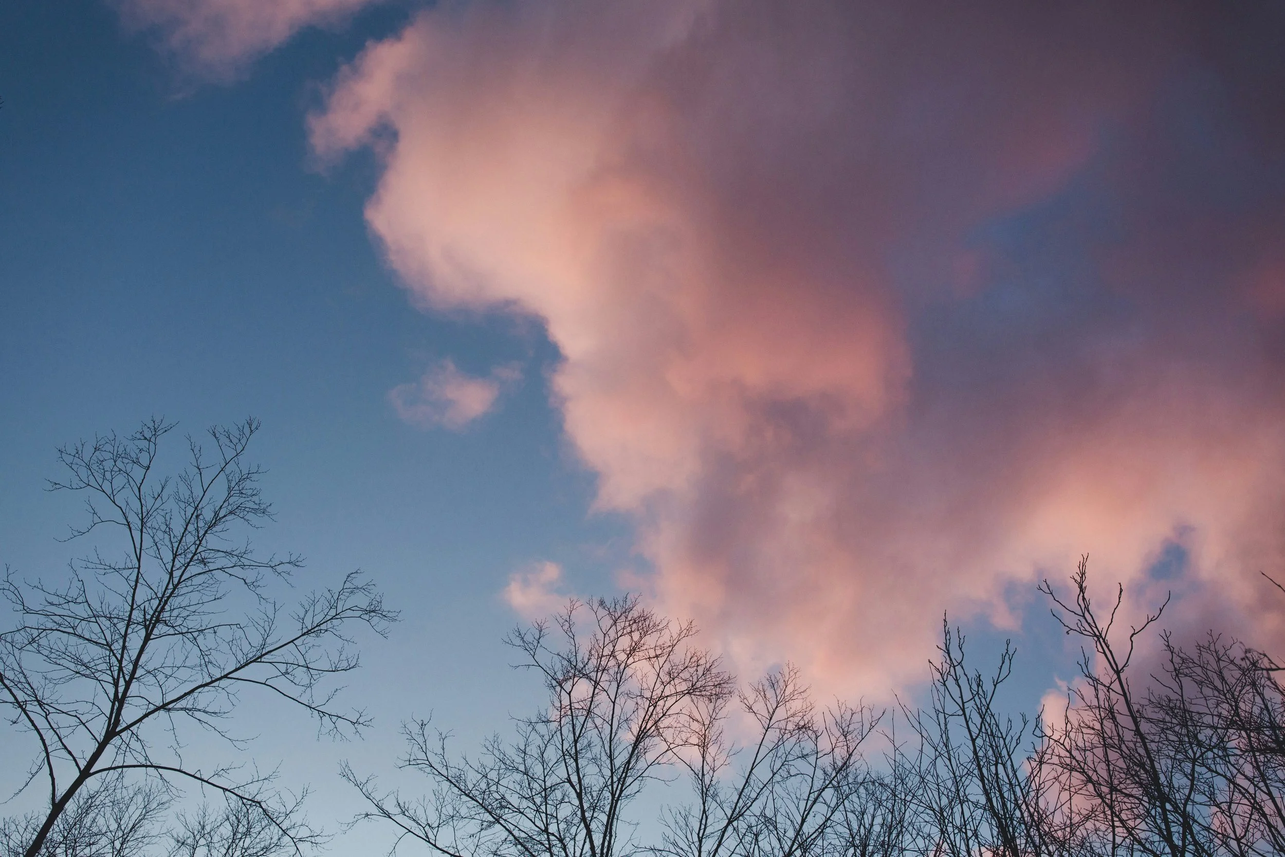 Rest is Medicine - Winter and the Call to Slow Down