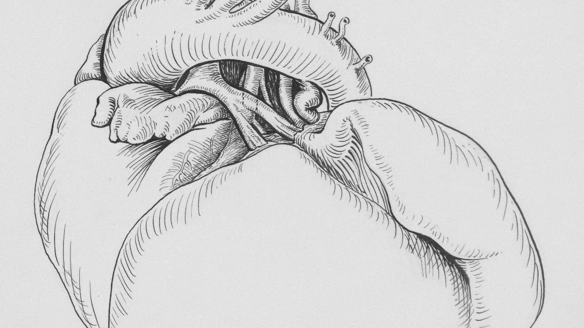 On the Art of Medicine