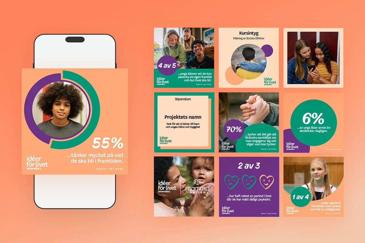 Skandia IFL portfolio.jpg