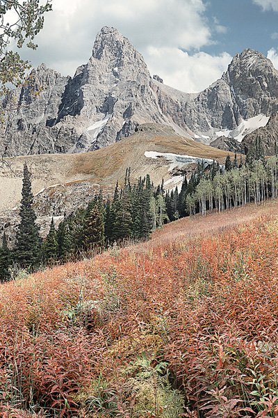 Autumn's Royalty 4 RGB a.jpg