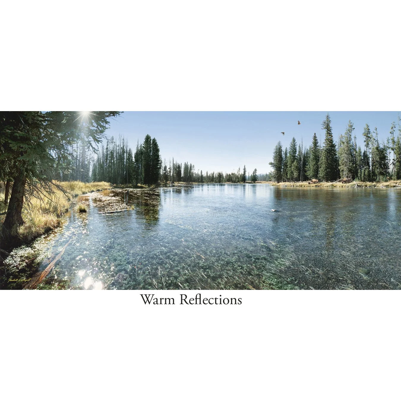 Warm Reflections