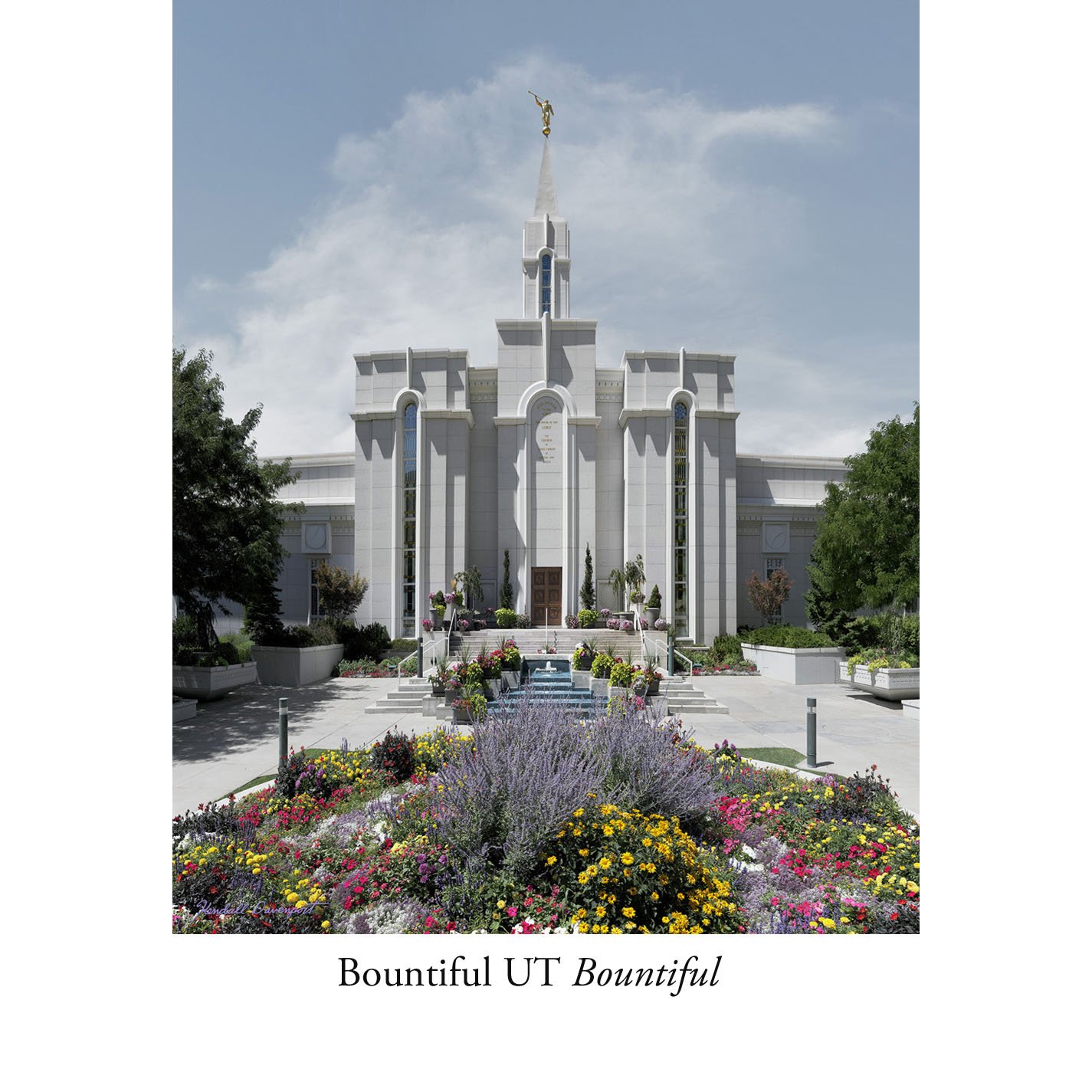 Bountiful 150 sqs c N copy.jpg