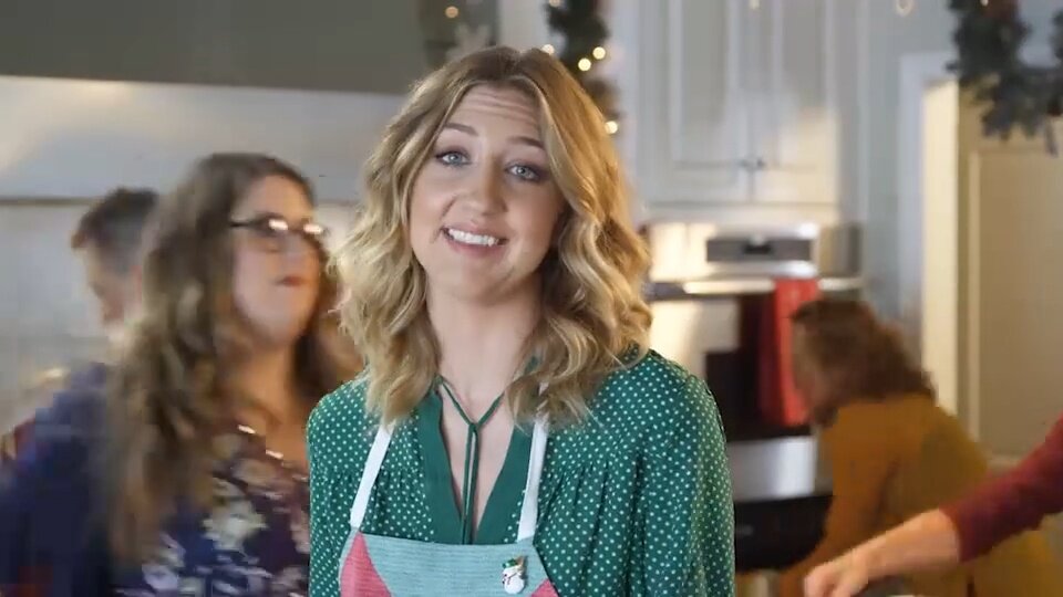 Nintendo 3DS and 2DS Holiday (2016)