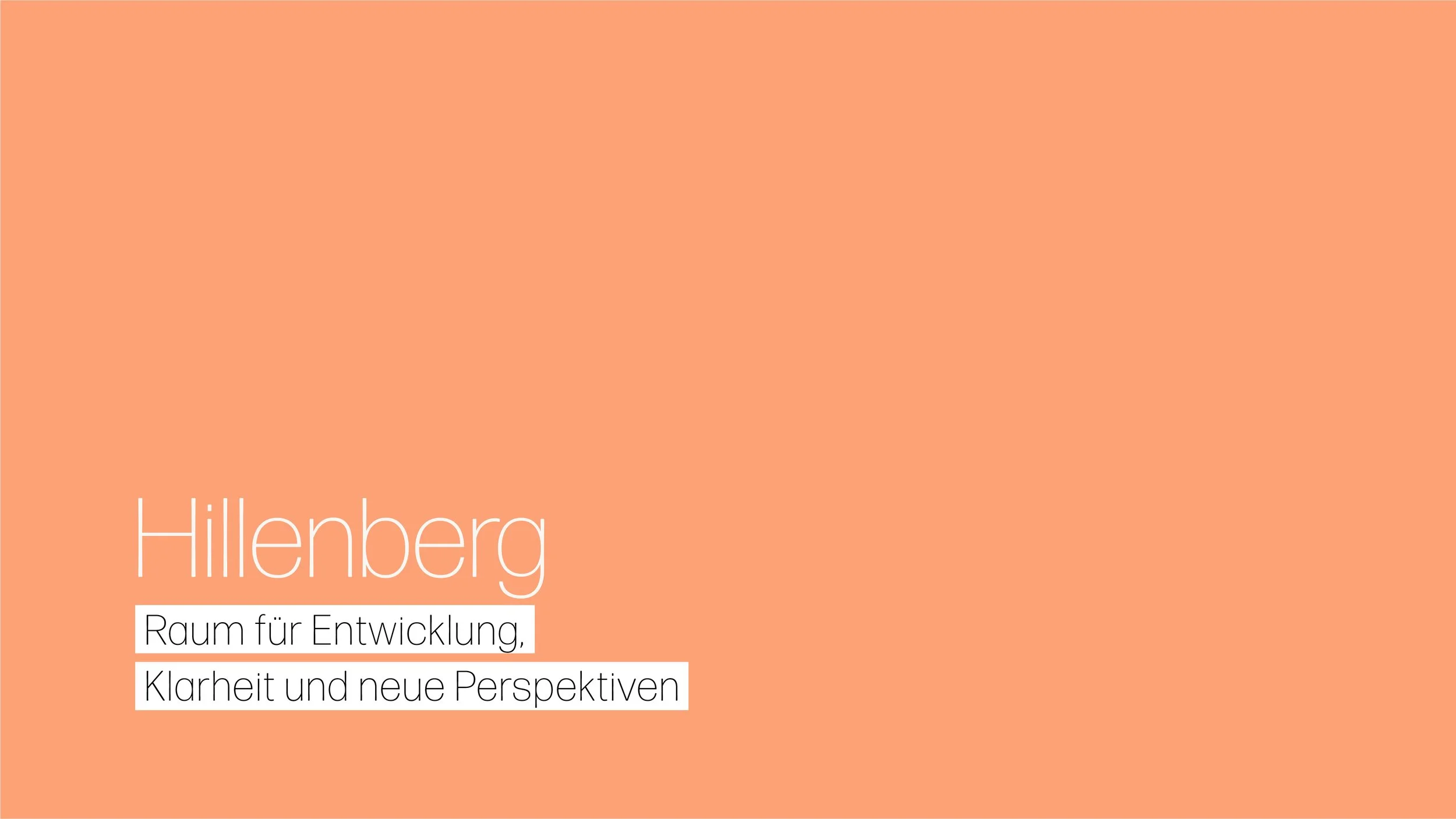 Entw1c-CD-Hillenberg2.jpg