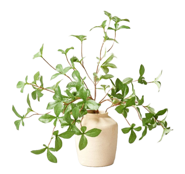 Faux Gypsophila Leaf Arrangement - Hearth &amp; Hand™ with Magnolia