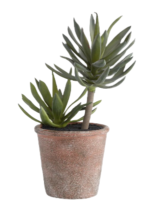 Faux Succulents in Rustic Pot