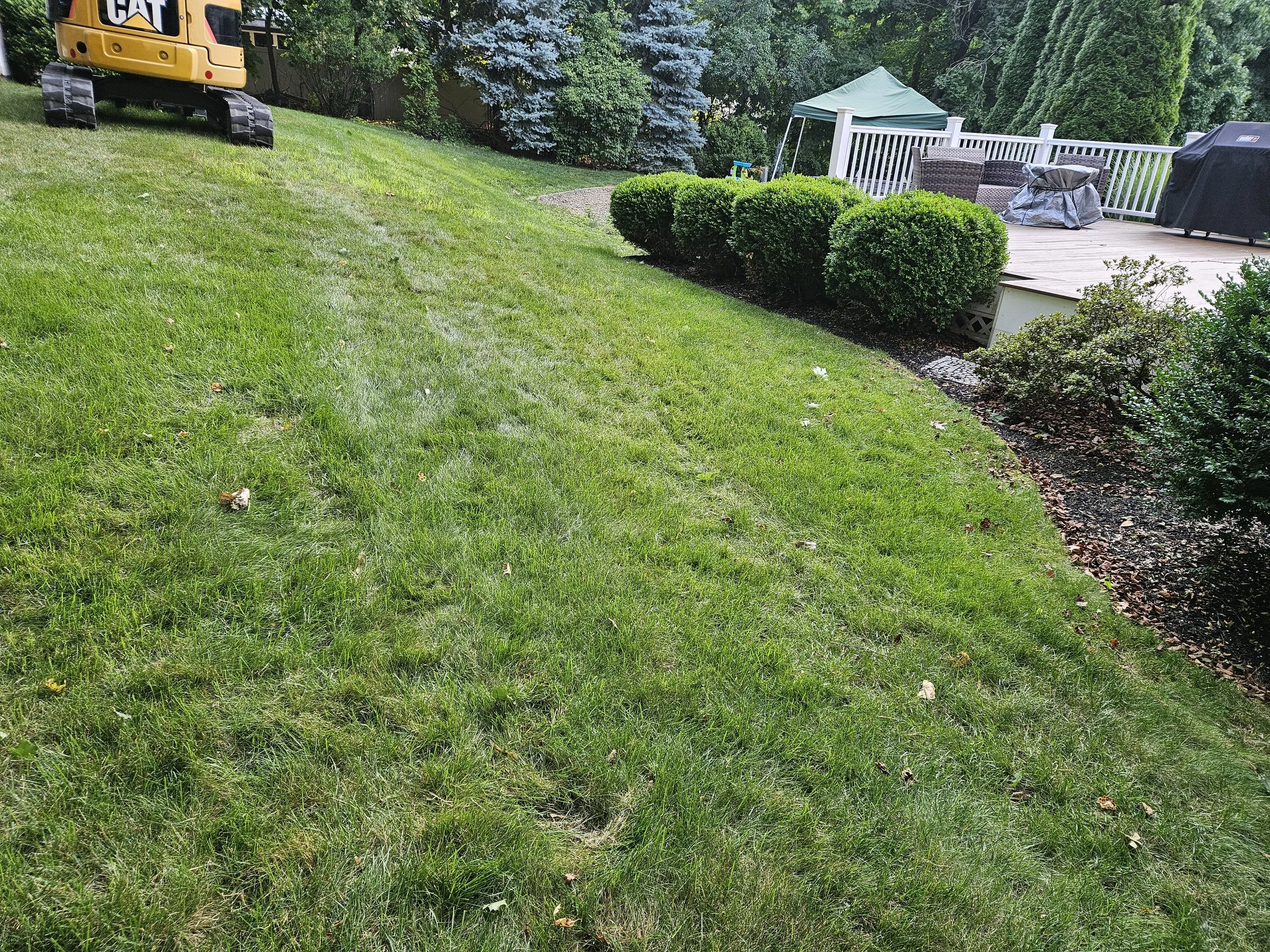 Sloping side yard before
