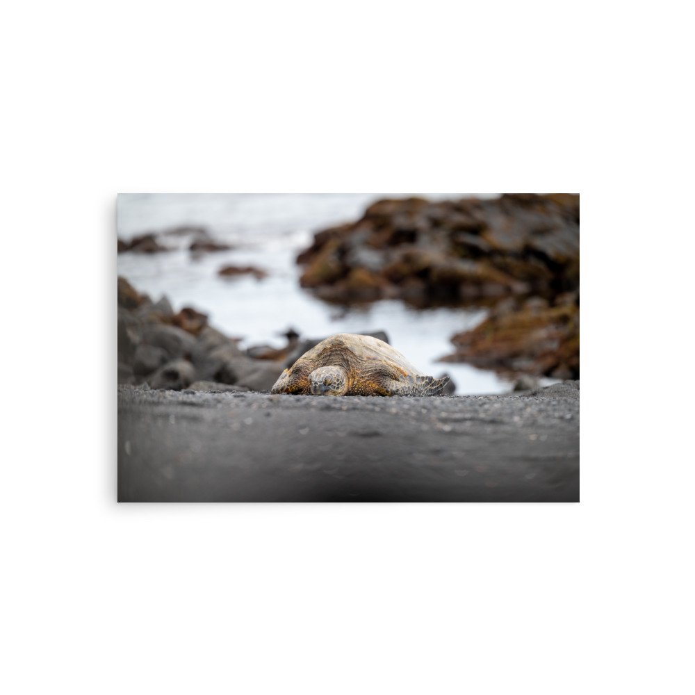 enhanced-matte-paper-poster-(in)-20x30-front-6410e3aa68c9c.jpg