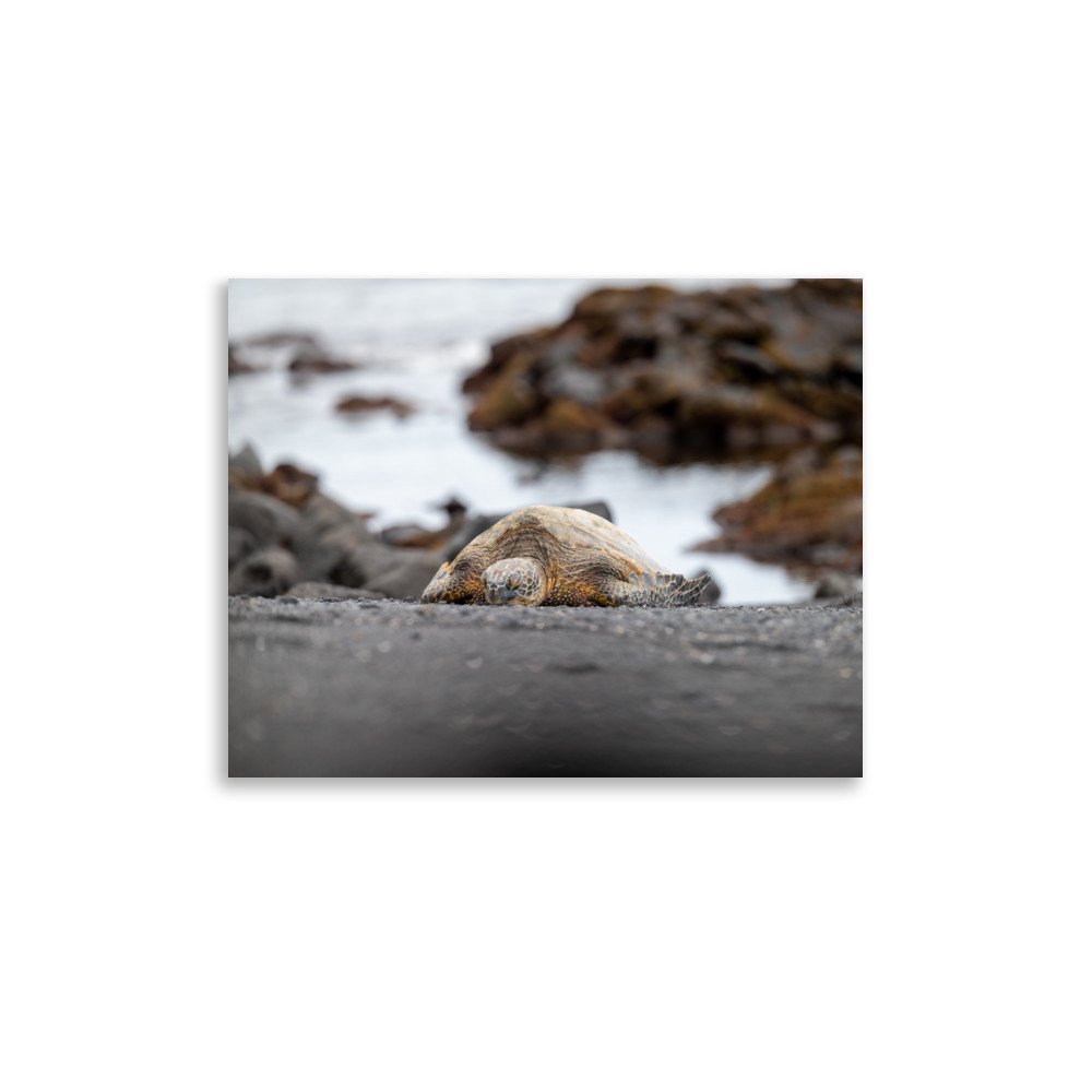 enhanced-matte-paper-poster-(in)-11x14-front-6410e3aa6a078.jpg