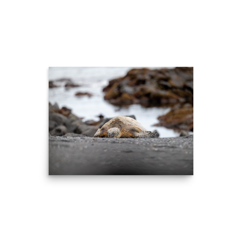 enhanced-matte-paper-poster-(in)-12x16-front-6410e3aa6a10d.jpg