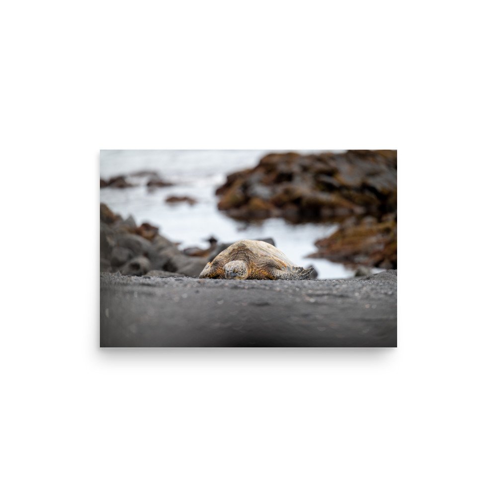 enhanced-matte-paper-poster-(in)-12x18-front-6410e3aa6a17b.jpg