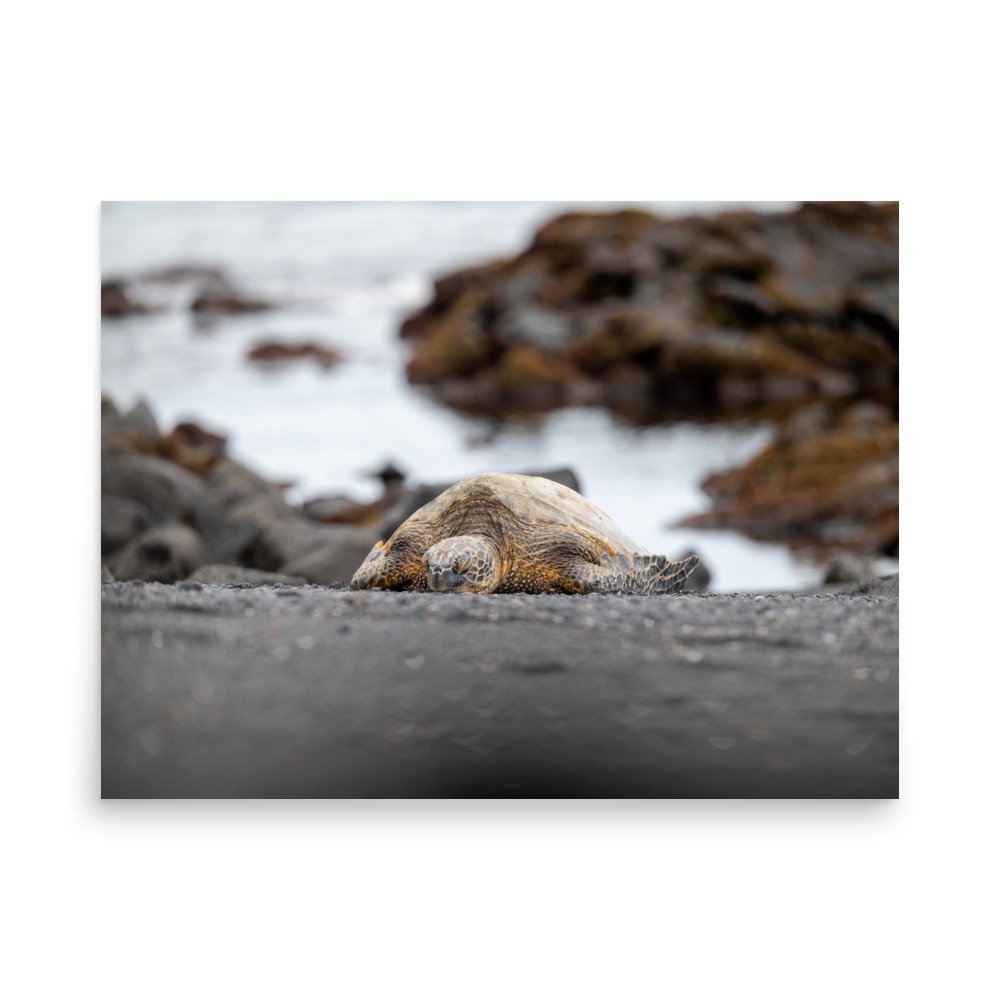 enhanced-matte-paper-poster-(in)-18x24-front-6410e3aa6a235.jpg