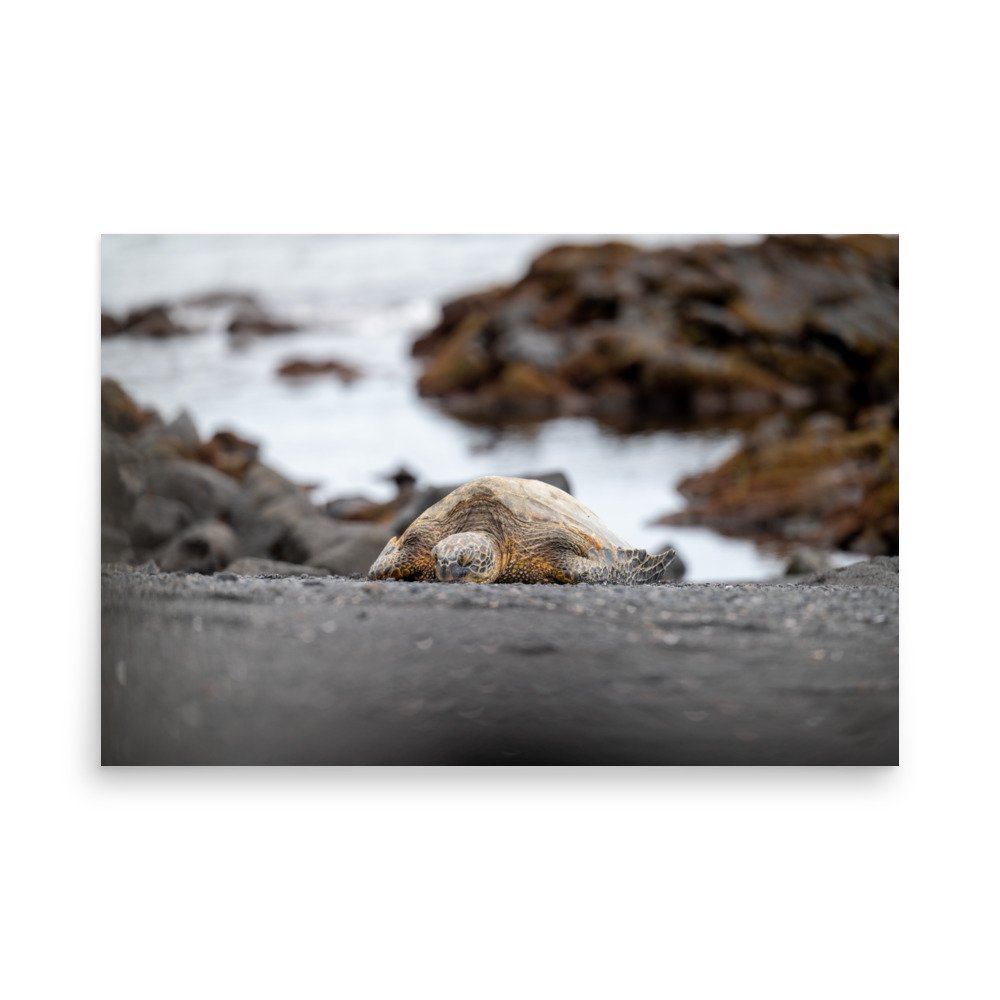enhanced-matte-paper-poster-(in)-24x36-front-6410e3aa6a2fb.jpg