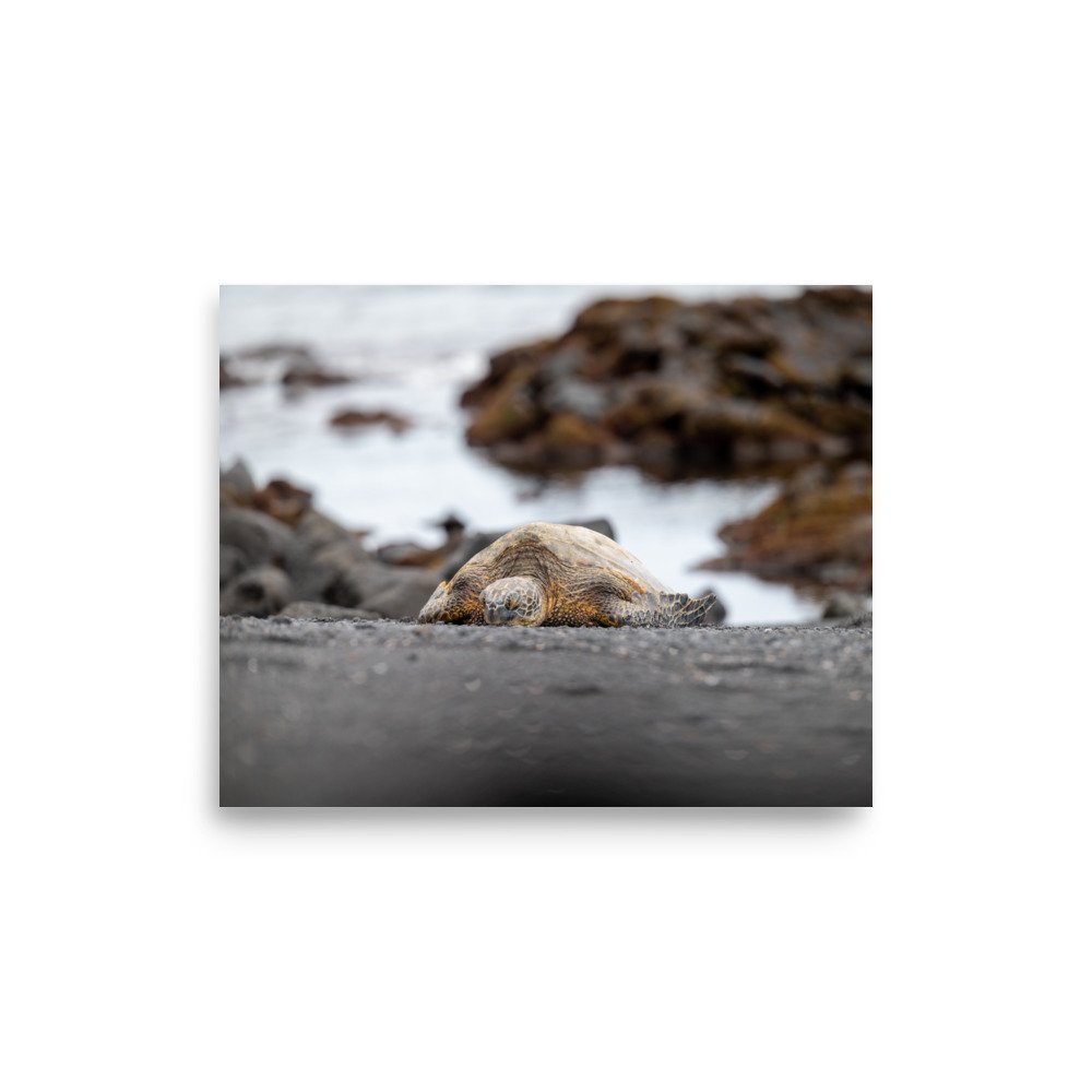 enhanced-matte-paper-poster-(in)-8x10-front-6410e3aa6a409.jpg