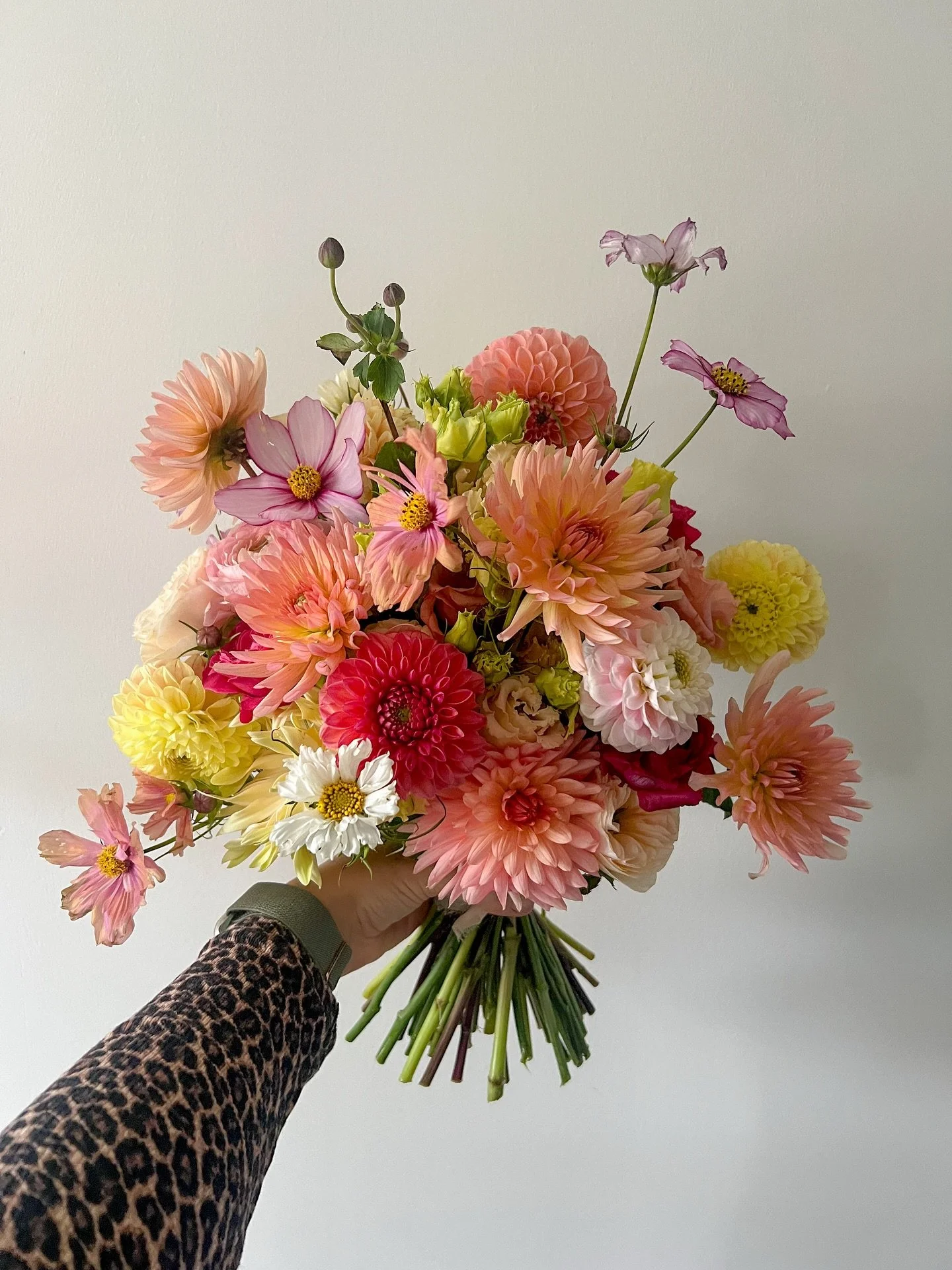 ✨FOR LAUREN✨
.
God I&rsquo;m obsessed with this colour palette, peachy, salmon, oranges and lemons with hints of pinks! Almost 10 varieties of dahlias with lizzi, cosmos and more, sometimes a bouquet steals my heart ✨🤍🥰