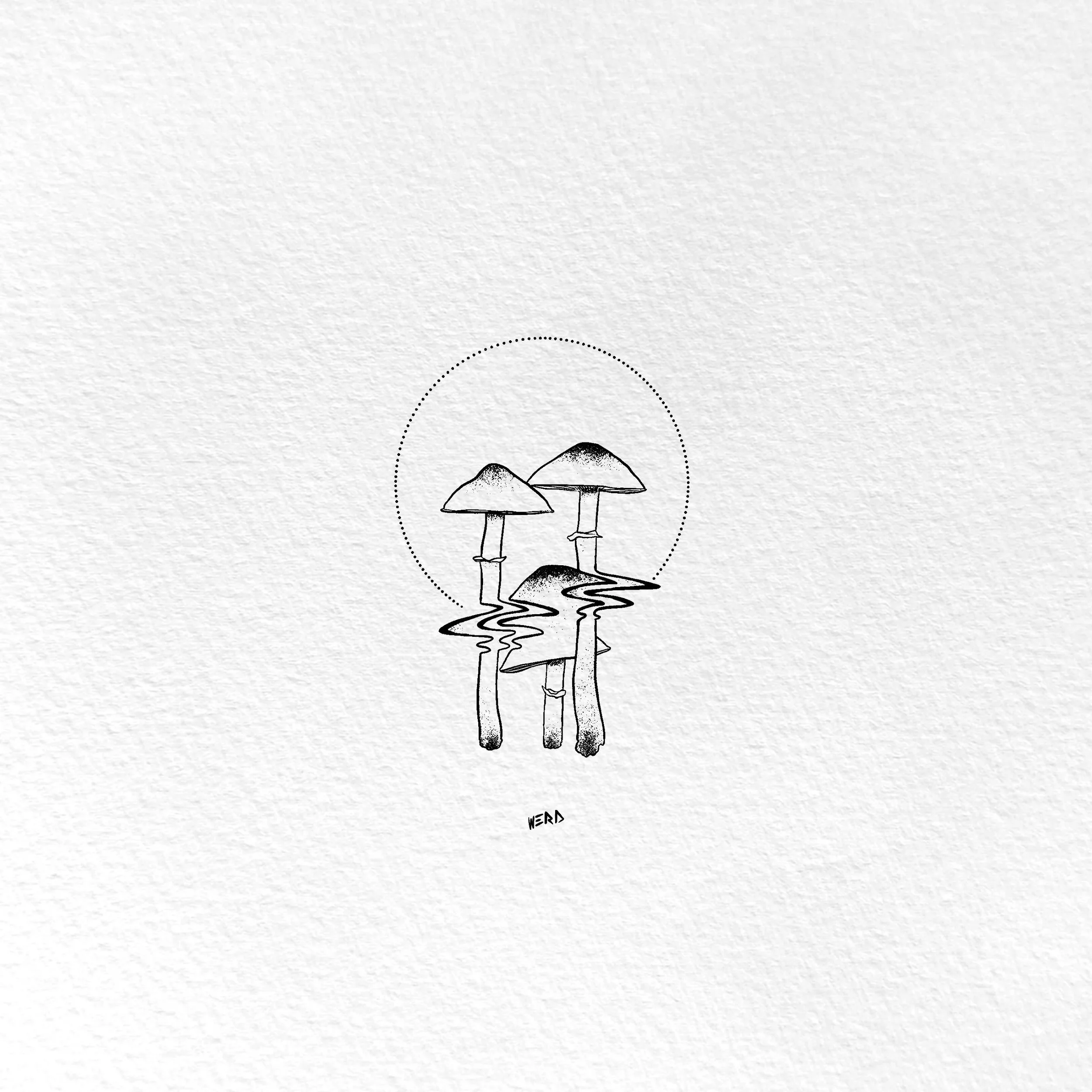 unnamed15.jpg
