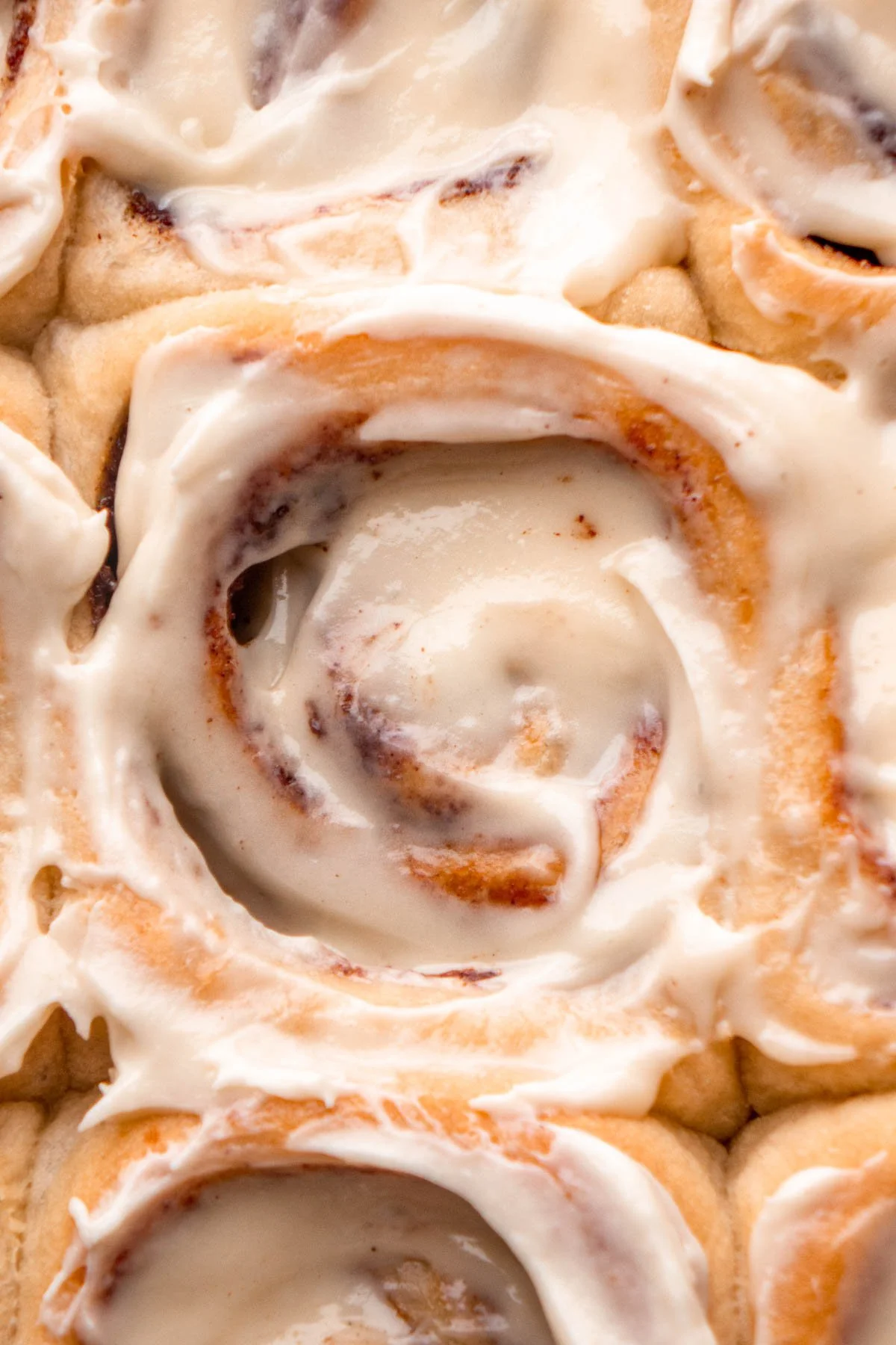 Take 'n Bake Sourdough Cinnamon Rolls
