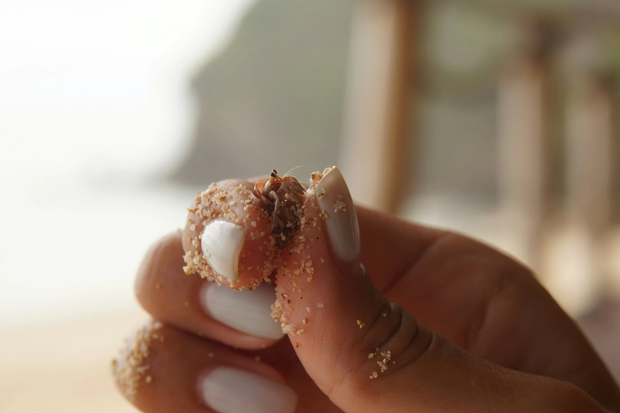MSW LIP SCRUB STORE IMAGE 1.jpg